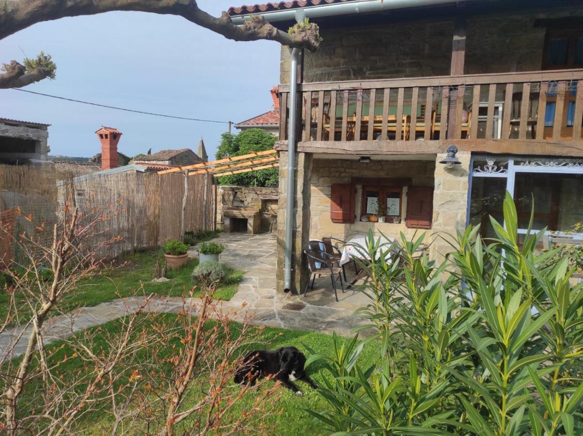 Labor Istrska Hiska Villa Marezige Esterno foto