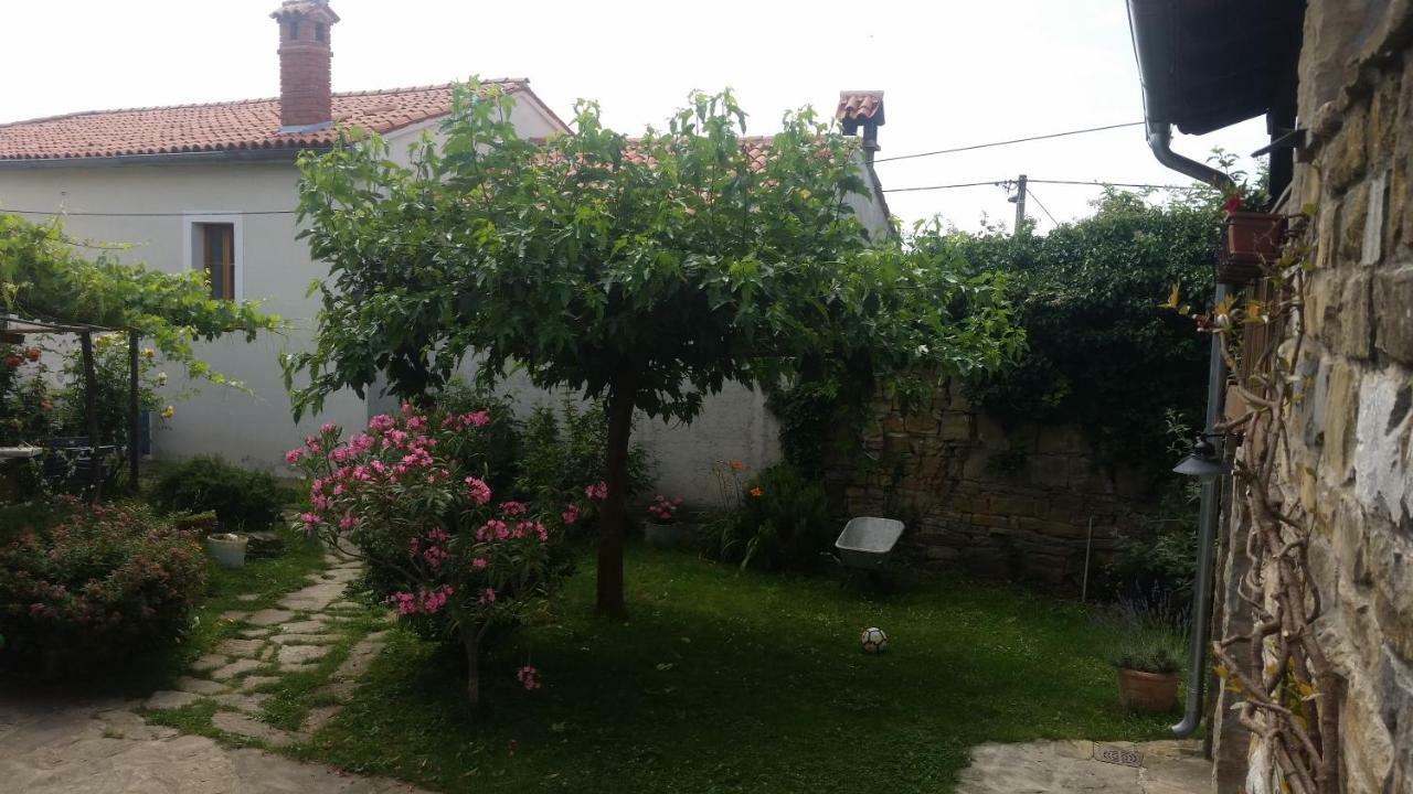 Labor Istrska Hiska Villa Marezige Esterno foto